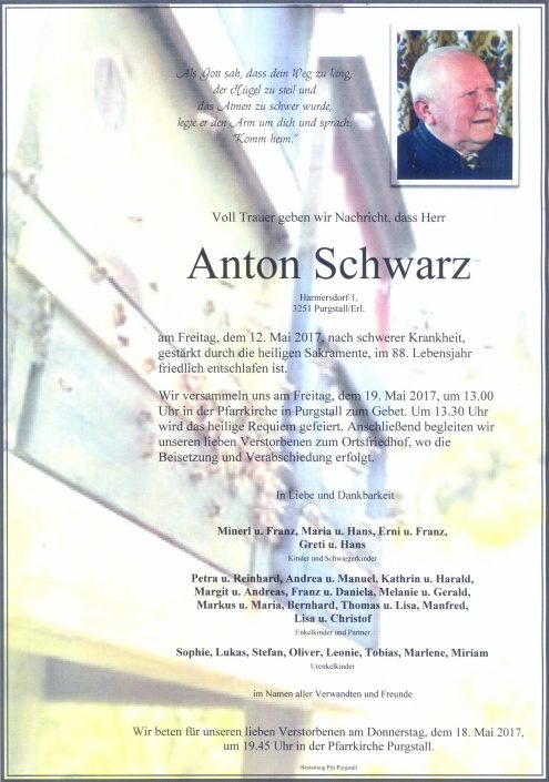 Anton Schwarz