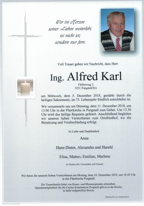 Ing. Alfred Karl