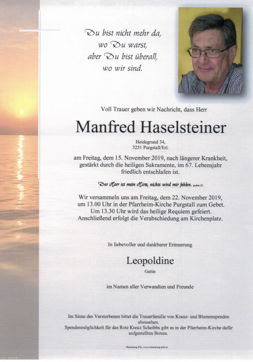 Manfred Haselsteiner