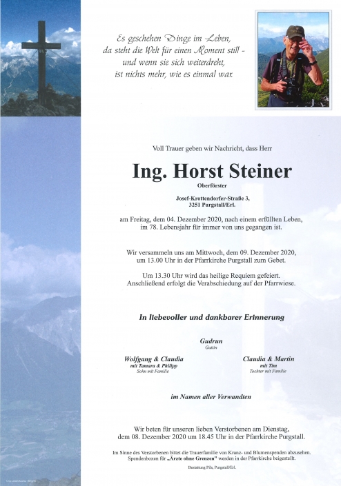 Ing. Horst Steiner