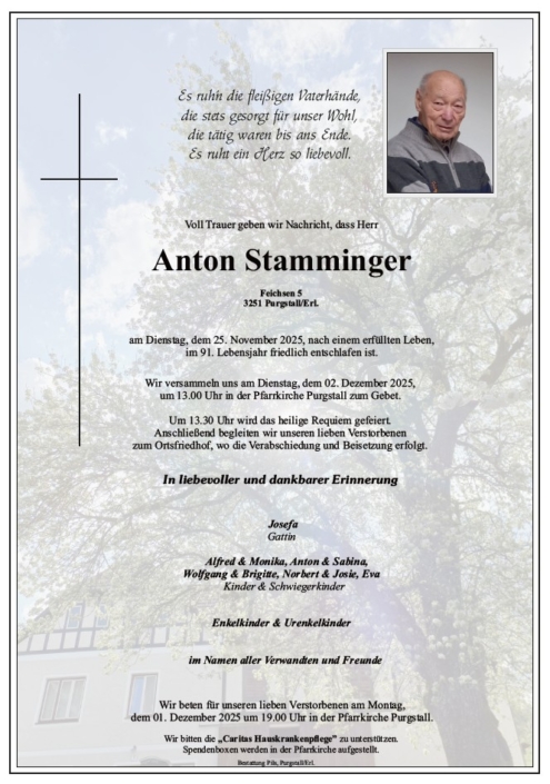 Anton Stamminger