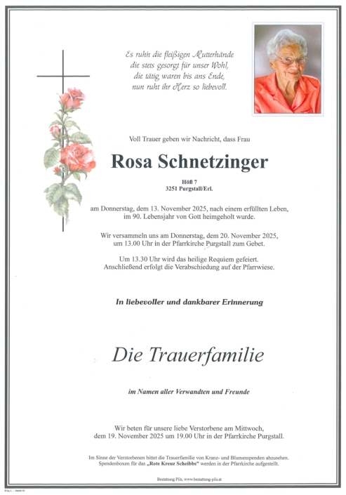 Schnetzinger Rosa